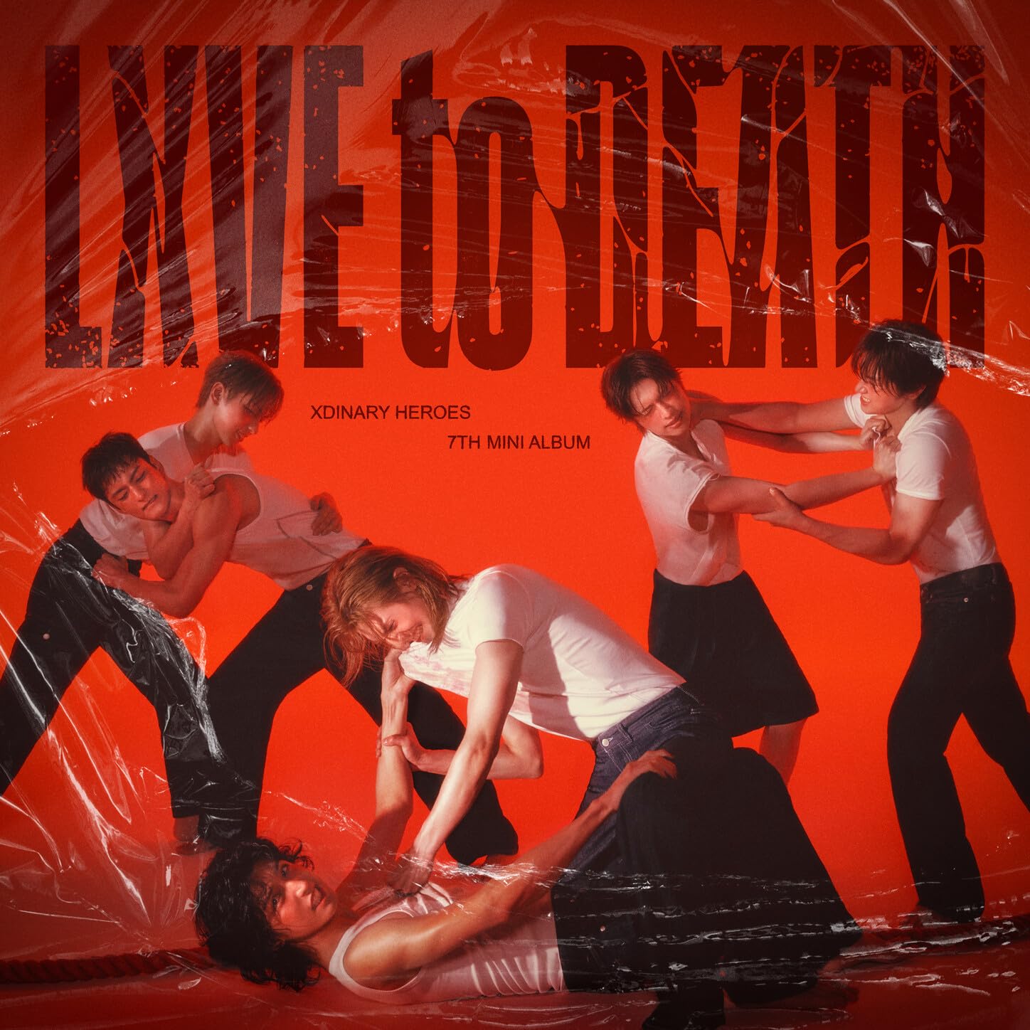 Image Cover